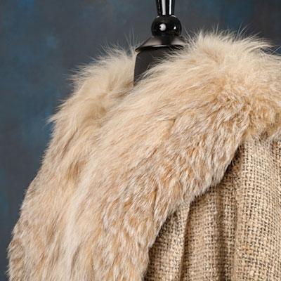 The Lasell Catalogue of Artistry in Fashion