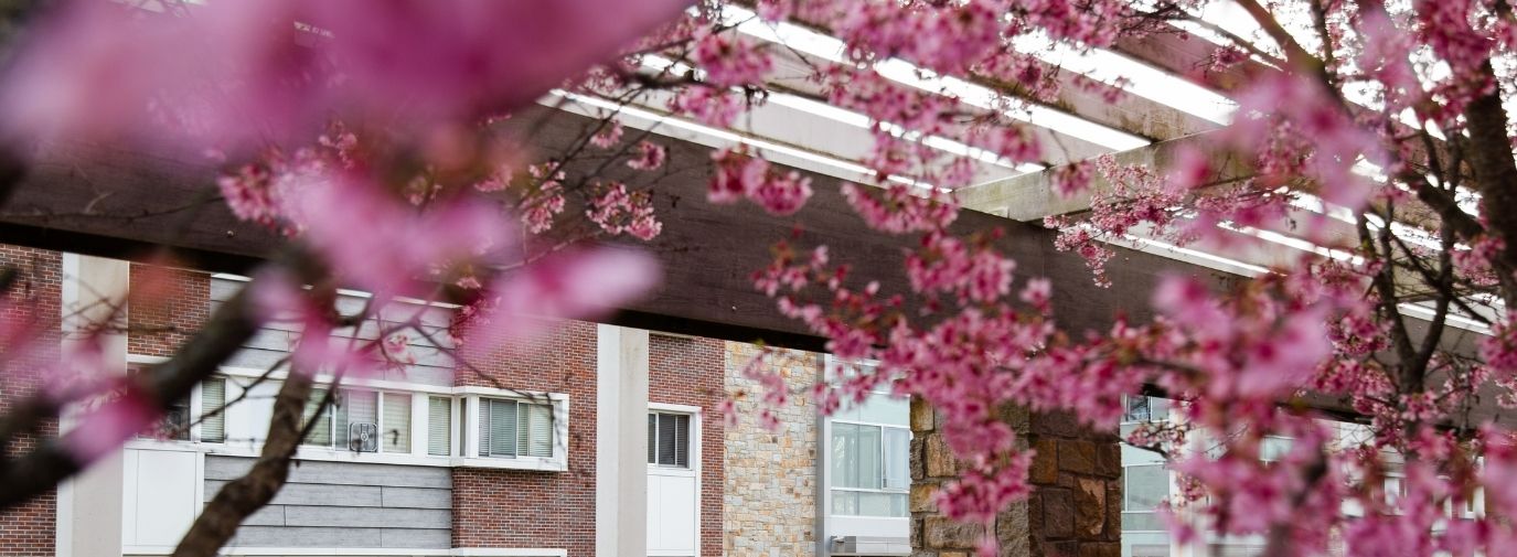 Lasell University graduate school building